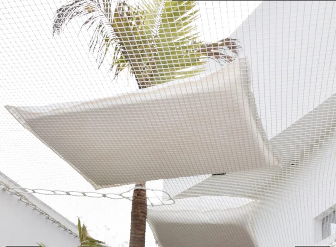 Screenshot_20241102_203017_Chrome